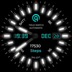 24h Analog Field Watch Wear OS screenshot 35