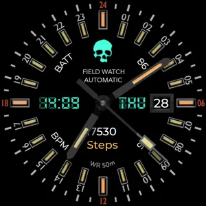 24h Analog Field Watch Wear OS screenshot 36