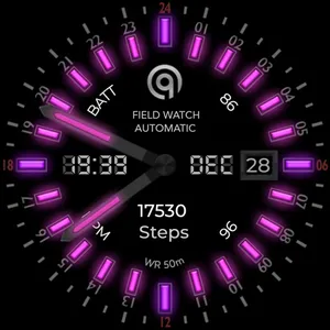 24h Analog Field Watch Wear OS screenshot 37