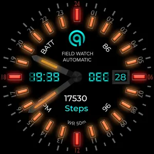 24h Analog Field Watch Wear OS screenshot 38