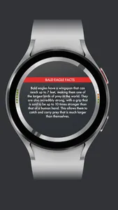 Xen — Animal Watch Face screenshot 2
