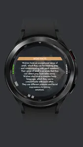 Xen — Animal Watch Face screenshot 4