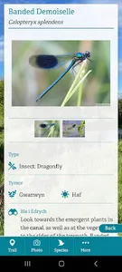 Canal Safari screenshot 4