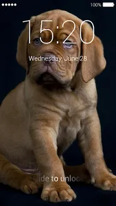 Cute Puppy Lock Screen screenshot 0