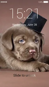 Cute Puppy Lock Screen screenshot 4