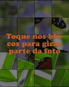 Quebra-Cabeça de Borboletas screenshot 1