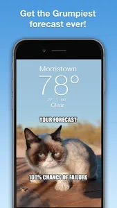 Grumpy Cat Weather screenshot 0