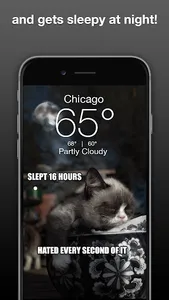 Grumpy Cat Weather screenshot 2