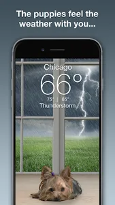 Weather Puppy - App & Widget screenshot 1