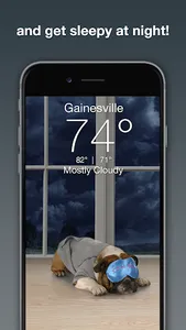 Weather Puppy - App & Widget screenshot 2