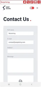Serprising - Marketing Agency screenshot 8