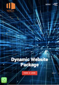 Webicon IT Solutions USA screenshot 0