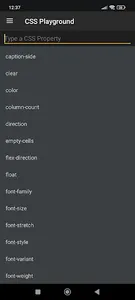 CSS Playground screenshot 2