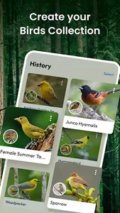 Bird Identifier: Bird Watching screenshot 14