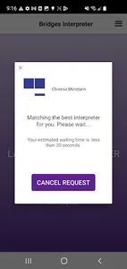 Bridges Interpreter screenshot 3