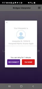 Bridges Interpreter screenshot 5