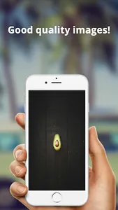 Avocado HD 4K Wallpaper screenshot 3