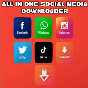 Social Media Video Downloader screenshot 3