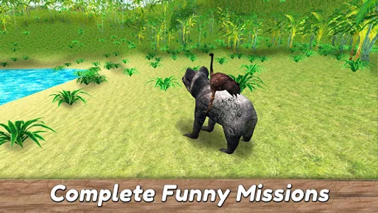 Koala Family Simulator - try A screenshot 6