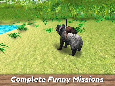 Koala Family Simulator - try A screenshot 9