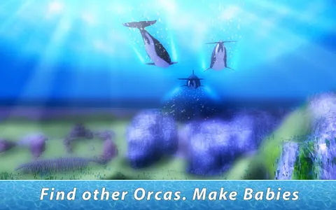 Orca Family Simulator screenshot 1