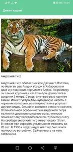 Дикие кошки screenshot 3