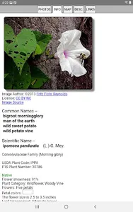 Alabama Wildflowers screenshot 11