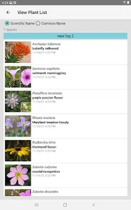 Alabama Wildflowers screenshot 15