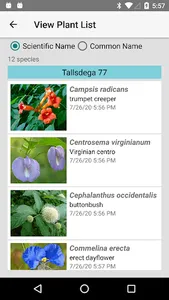 Alabama Wildflowers screenshot 7