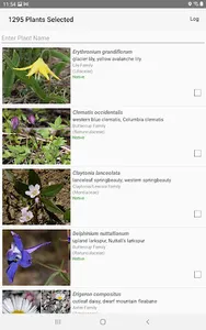 Glacier NP Wildflowers screenshot 10