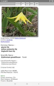 Glacier NP Wildflowers screenshot 12