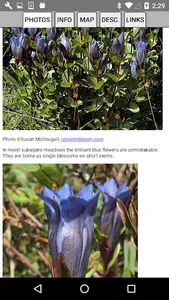 Glacier NP Wildflowers screenshot 2