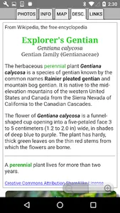 Glacier NP Wildflowers screenshot 5