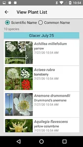 Glacier NP Wildflowers screenshot 7