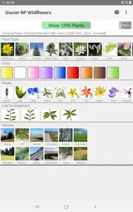 Glacier NP Wildflowers screenshot 8