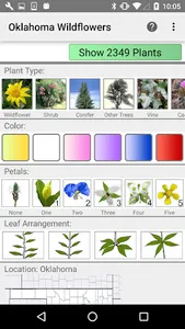 Oklahoma Wildflowers screenshot 0