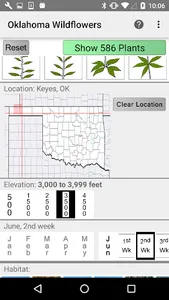 Oklahoma Wildflowers screenshot 1