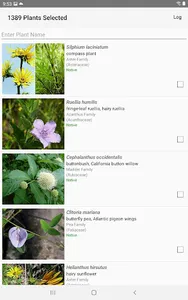 Oklahoma Wildflowers screenshot 10