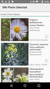 Oklahoma Wildflowers screenshot 2