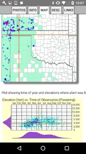 Oklahoma Wildflowers screenshot 5