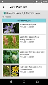 Oklahoma Wildflowers screenshot 7