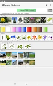 Oklahoma Wildflowers screenshot 8