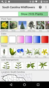 South Carolina Wildflowers screenshot 0