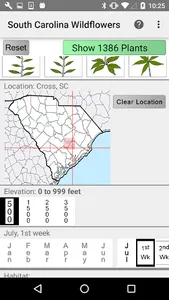 South Carolina Wildflowers screenshot 1