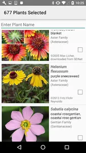 South Carolina Wildflowers screenshot 2