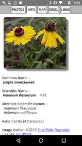 South Carolina Wildflowers screenshot 4