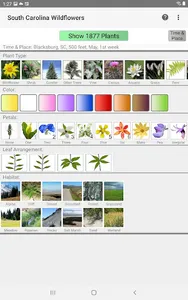 South Carolina Wildflowers screenshot 7