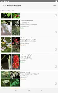 South Carolina Wildflowers screenshot 9