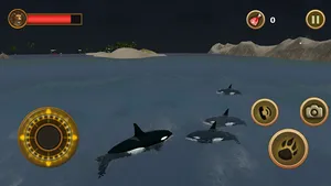 Orca Survival Simulator screenshot 18