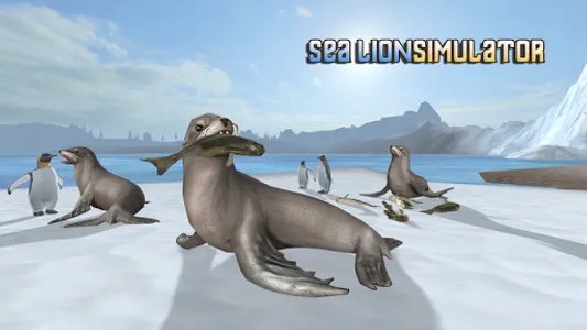 Sea Lion Simulator screenshot 6